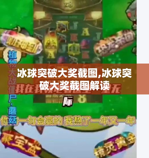 冰球突破大奖截图,冰球突破大奖截图解读