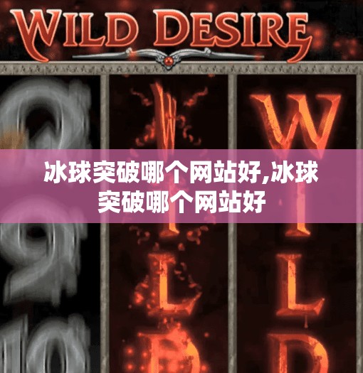 冰球突破哪个网站好,冰球突破哪个网站好