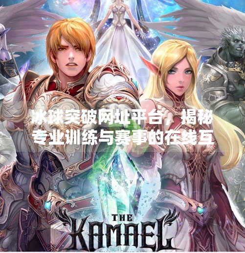 冰球突破网址平台,揭秘专业训练与赛事的在线互动,冰球突破网址平台