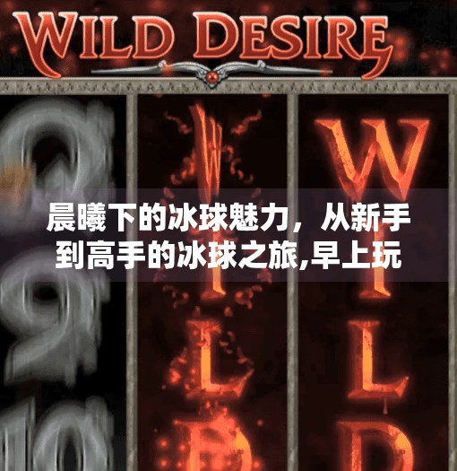 晨曦下的冰球魅力,从新手到高手的冰球之旅,早上玩冰球突破