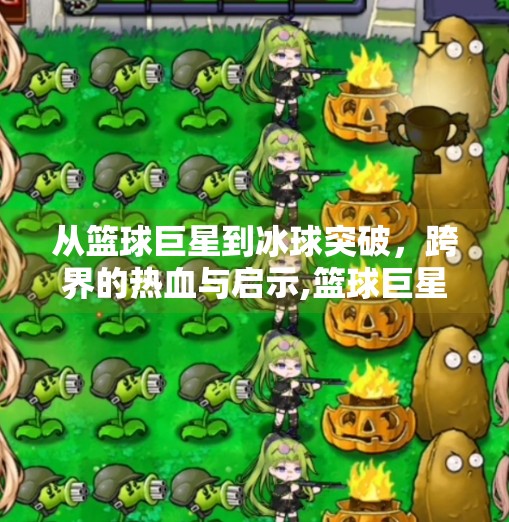 从篮球巨星到冰球突破,跨界的热血与启示,篮球巨星和冰球突破