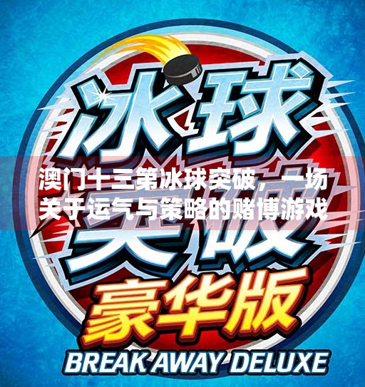 澳门十三第冰球突破，一场关于运气与策略的赌博游戏迷思,澳门十三第冰球突破