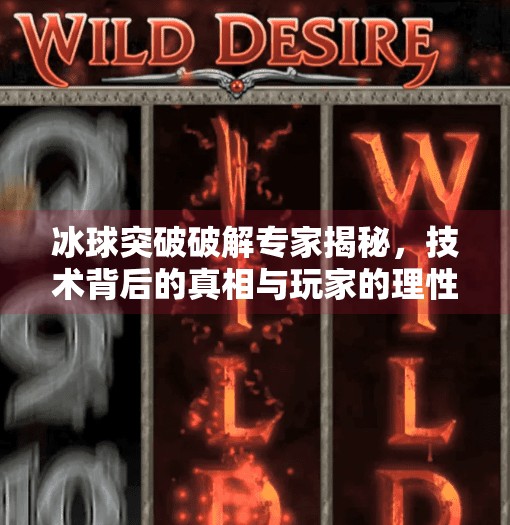 冰球突破破解专家揭秘,技术背后的真相与玩家的理性选择,冰球突破破解专家分析