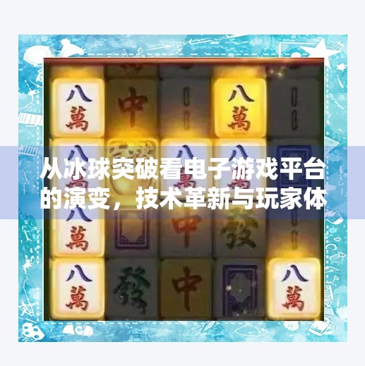 从冰球突破看电子游戏平台的演变,技术革新与玩家体验的双重跃迁,电子游戏平台冰球突破