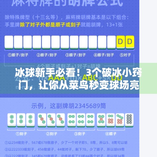 冰球新手必看!3个破冰小窍门,让你从菜鸟秒变球场亮点!突破冰球小窍门视频