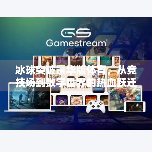 冰球突破豪华版体育，从竞技场到数字世界的热血跃迁,冰球突破豪华版体育